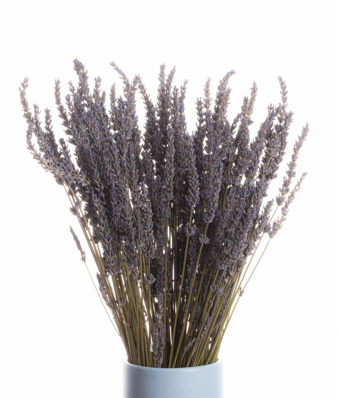 Getrockneter Lavendelstrauß 80 g – getrocknete Blüten