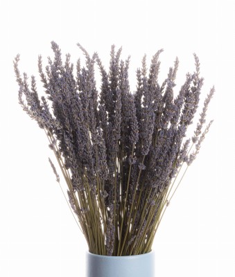 Getrockneter Lavendelstrauß 80 g – getrocknete Blüten