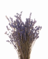 Getrockneter Lavendelstrauß 40 g – getrocknete Blüten