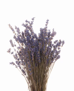 Getrockneter Lavendelstrauß 40 g – getrocknete Blüten