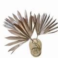 Suszony liść palmy srebrny - palm sun