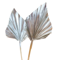 Dried silver palm leaf - arrow