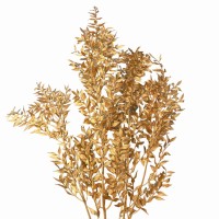 Stabilisierter goldener Ruscus 5 Zweige