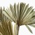 IMG_8716_jpg.jpg