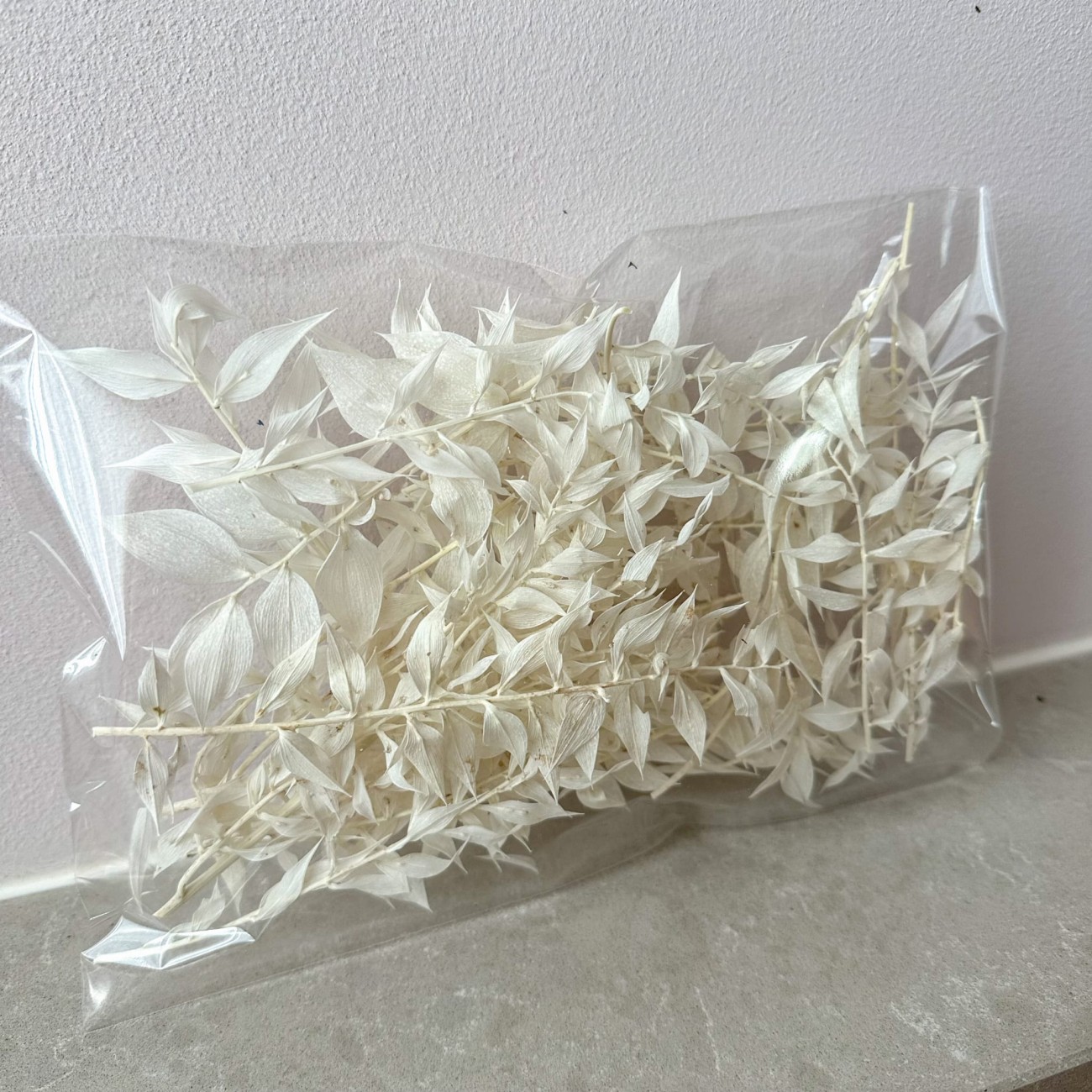 Preserved bleached ruscus - outlet