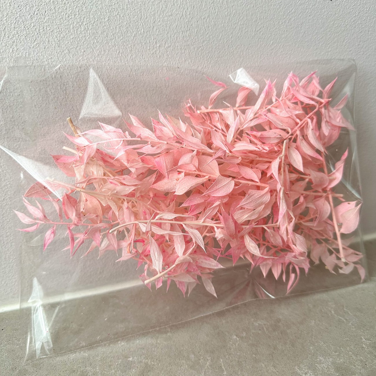 Preserved light pink ruscus - outlet 
