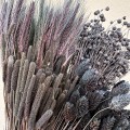 IMG_4095.jpeg