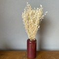 IMG_5599.jpeg