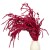 Amaranthus stabilizowany bordowy