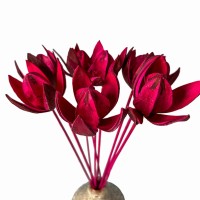 Getrocknete Fuchsienlilie – exotisches Trockenblumengemisch