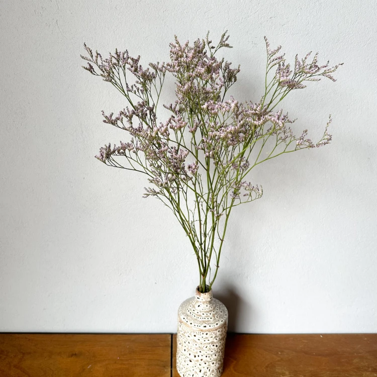 Limonium jasnofioletowe - suszone kwiaty