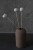 Bell Cup bielony 3 szt.