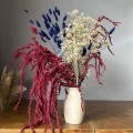 Amaranthus stabilizowany bordowy