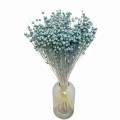Suszony len niebieski (denim) - bukiet 80g