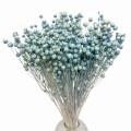 Suszony len niebieski (denim) - bukiet 80g