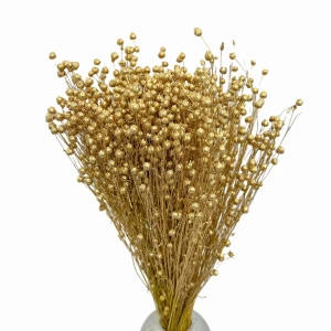 Getrockneter goldener Flachs – Strauß  100 g – getrocknete Blumen