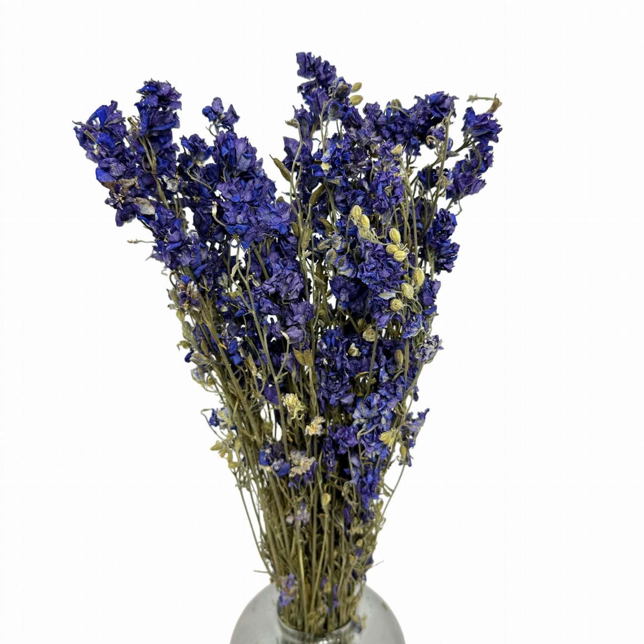 Dried blue delphinium - dried flowers