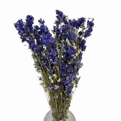 Getrocknete blaue Rittersporn (Delphinium) – getrocknete Blüten