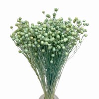 Getrockneter Minzflachs – Strauß  90 g – getrocknete Blumen
