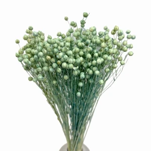 Getrockneter Minzflachs – Strauß  90 g – getrocknete Blumen