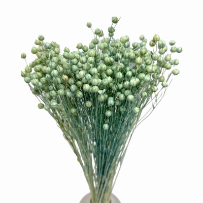 Getrockneter Minzflachs – Strauß  90 g – getrocknete Blumen