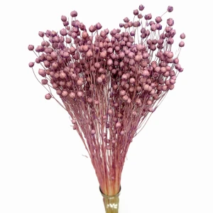 Getrockneter violetter Flachs – Strauß  90 g – getrocknete Blumen