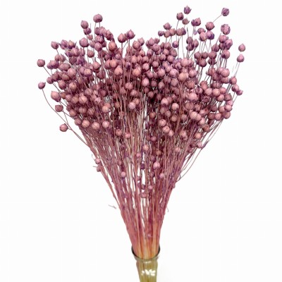 Getrockneter violetter Flachs – Strauß  90 g – getrocknete Blumen