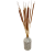 Suszona pała wodna (Typha) 10szt.