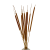 Suszona pała wodna (Typha) 10szt.