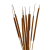 Suszona pała wodna (Typha) 10szt.