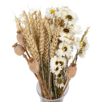 Set getrockneter Blumen Poppy Größe S – Mohnblume, Suchlin, Weizen
