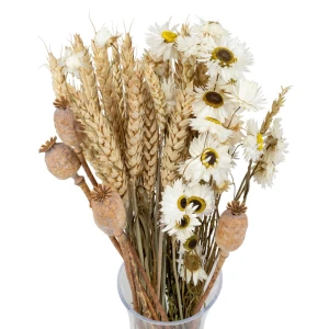 Set getrockneter Blumen Poppy Größe S – Mohnblume, Suchlin, Weizen