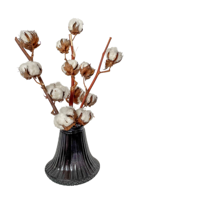 Baumwollzweig 4 Knospen