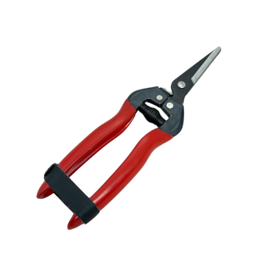 Blumenschere
