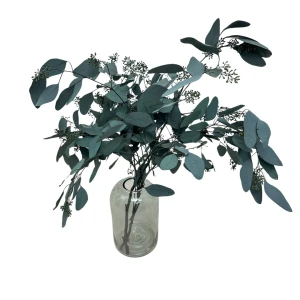 Stabilisierter Eukalyptus Populus Berry grün – Eukalyptusblätter