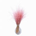 Stipa Pennata jasnoróżowa 50 g - ostnica piórkowa - suszone trawy