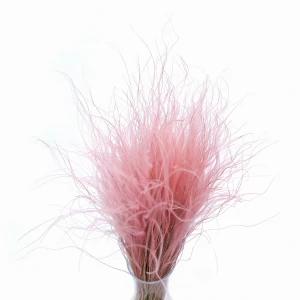 Stipa Pennata hellrosa 50 g – Federgras, getrocknete Gräser