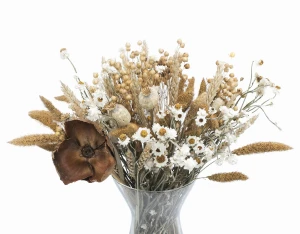 Set getrockneter Blumen Rustic – Setaria, Goldrute,  Flachs