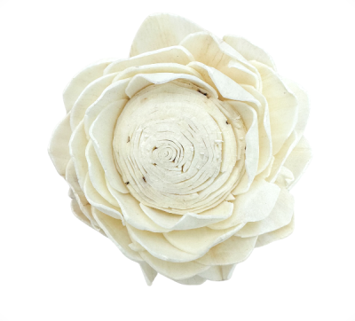 Shola-Blüte – weißer Lotus  8 cm