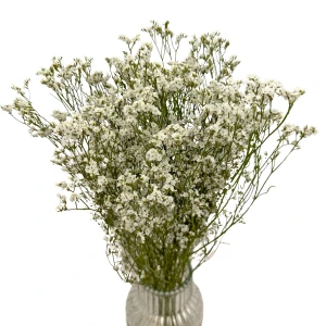 Getrockneter weißer Strandflieder (Limonium sinensis) 5 Stück, Strauß