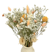 Strauß getrockneter Blumen Ivory – Limonium, Lagurus, Kraspedia