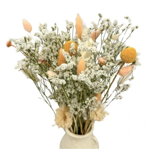 Strauß getrockneter Blumen Ivory – Limonium, Lagurus, Kraspedia