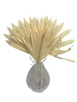 Palm Sun - dried bleaches leaves 5 pcs. - outlet 