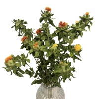 Getrockneter Färberdistel (Kartamus) – getrocknete Blüten – Strauß