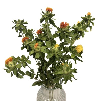 Getrockneter Färberdistel (Kartamus) – getrocknete Blüten – Strauß