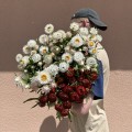 Suszona kocanka pomarańczowa (Helichrysum) 100g - bukiet (
