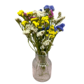 Zatrwian wrębny (limonium) - suszone kwiaty