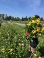 IMG_7724.JPEG