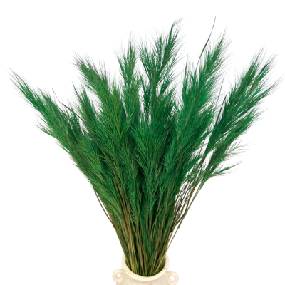 Grünes Weihnachtsbaumgras – Strauß – getrocknetes Gras