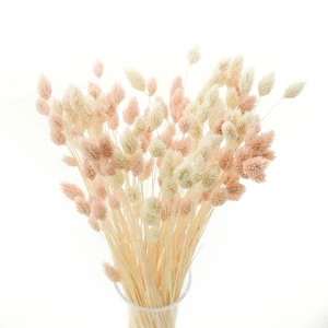 Bouquet aus getrockneten Gräsern Duo Phalaris hellrosa & gebleicht